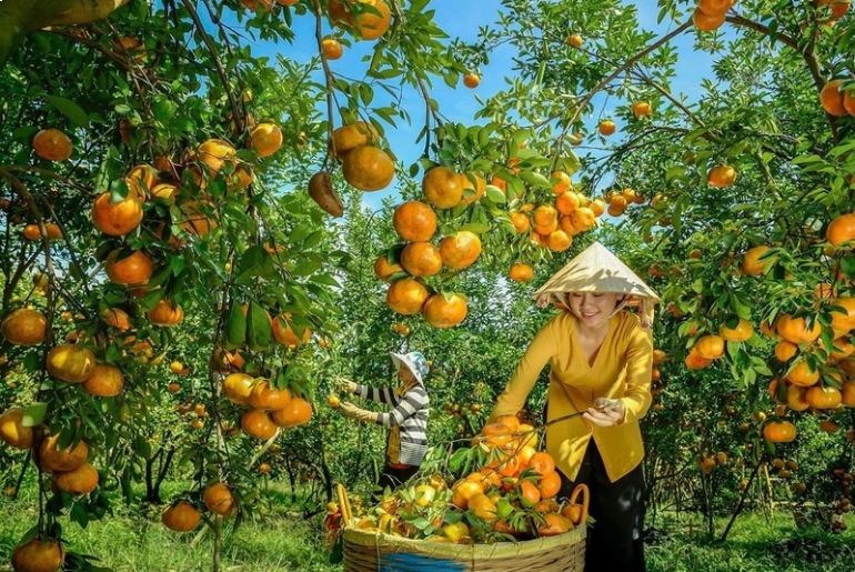 Vườn trái cây Cái Mơn